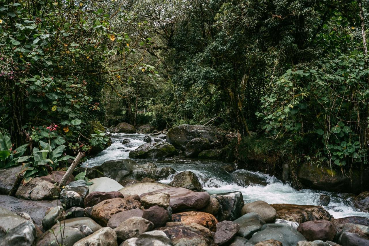 Trogon Lodge Сан-Херардо-де-Дота Экстерьер фото