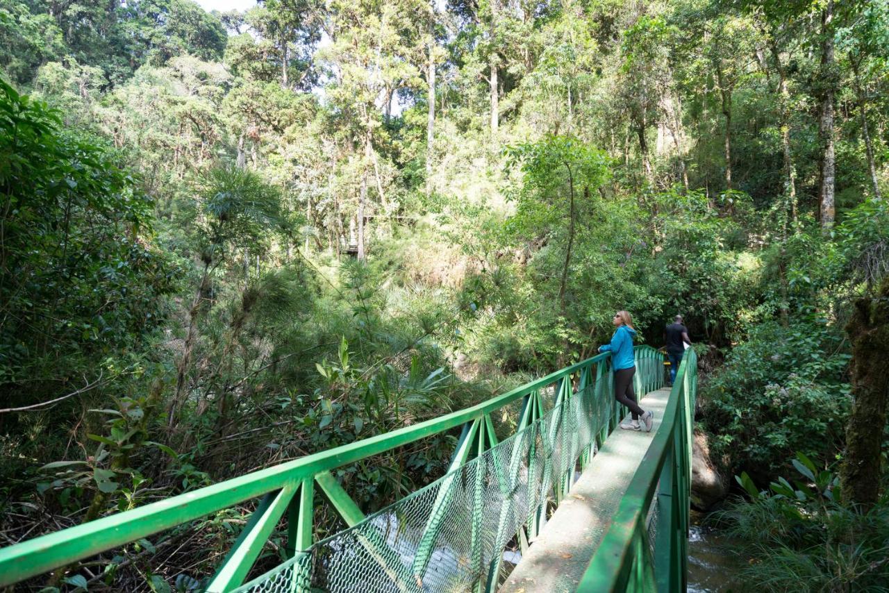 Trogon Lodge Сан-Херардо-де-Дота Экстерьер фото